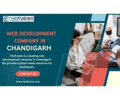 Web Development Company in Chandigarh | thefuenix