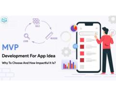 Help Your Business Grow MVP Software Development Company