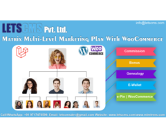 Wp Affiliate - Matrix MLM Plan with WooCommerce in United States