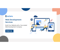 Experts for Custom Website Application Development Services
