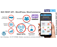 WooCommerce B2C | Business To Customer REST API Addons