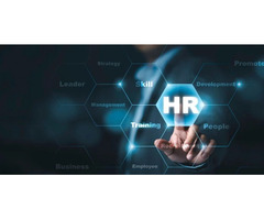 Corporate sustainability is driven by HR executives