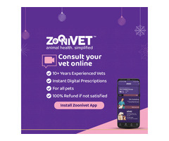 Virtual Veterinary Video Consultation in Bangalore