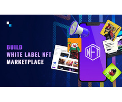 Build a White Label NFT Marketplace Flawlessly with Antier