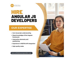 Angular Js Web Development Services in india
