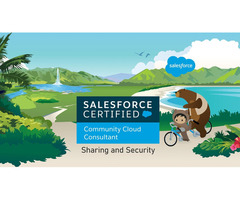 Hire Salesforce Community Cloud Consultant in USA