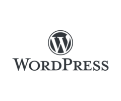 Hire WordPress Developer| WordPress Programmer