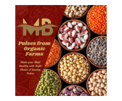 Pulses Archives - MB Pice Foods.