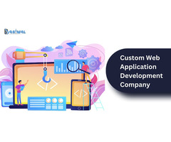 Custom Website Application Development Services | Baniwal Infotech