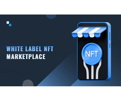 Presenting the best white label NFT marketplace development
