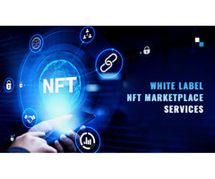 Hassle-free deployment | White Label NFT Marketplace Services