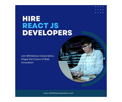 Hire Dedicated React Js Developer