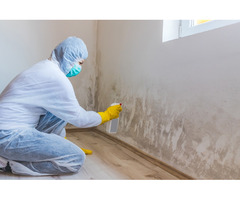 Augusta Mold Control and Removal | Damage Restoration in Augusta GA