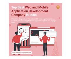 Top mobile and web application development company