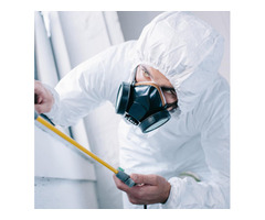 Advanced Pest Control Solutions for a Pest-Free Environment in Sydney