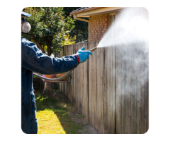 Are You Tired of Unwanted Pests Invading Your Home in Melbourne?