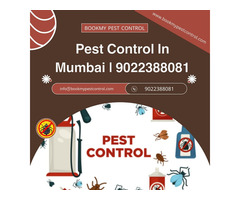 Pest Control In Mumbai | 9022388081