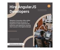 Hire AngularJS Developers | Dedicated Angularjs Developers to Hire