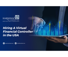 How to get the services of Virtual Financial Controllers?