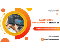 Salesforce Development Services | Melonleaf