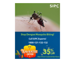 Best Mosquito Control in Chennai
