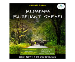 Jaldapara Elephant Safari