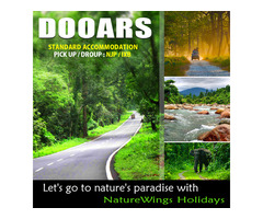 Book Dooars Package Tour from NJP with Hollong Tour Package