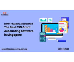 Useful PSG Grant For Effective Accounting Solution Singapore