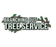 Tree Service & Removal Floral Park