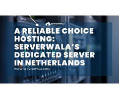 A Reliable Hosting : Serverwala’s Dedicated Server in Netherlands