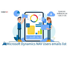 Opt in MS Dynamics NAV Users Email List in US - UK