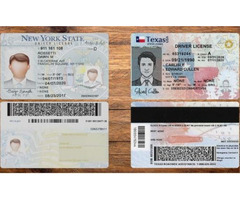 Fake Driver's License Ids