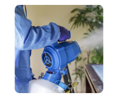 Looking for Effective Pest Control in Melbourne?