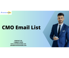 Verified CMO Email List In US UK