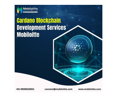 Cardano blockchain development services