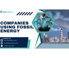 Get Verified List of Companies Using Fossil Energy Database