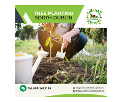 Avail of specialized services of Tree planting in South Dublin
