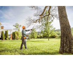 SL Tree & Outdoor Services | Tree Service in Lothian MD