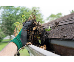 Affordable Gutter Cleaning Services in Adelaide