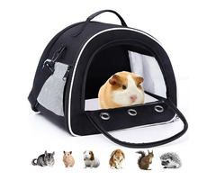 Guinea Pig Carriers: Are All Things Bunnies the Best Choice?