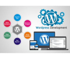 Elevate Your Webcresty Migrating Website to WordPress Service