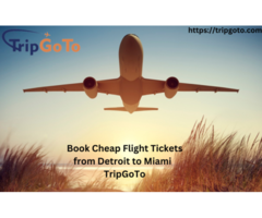 Book Cheap Flight Tickets from Detroit to Miami - TripGoTo