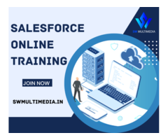 Salesforce Training Aurangabad Online- SW Multimedia