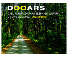 Jaldapara National Park Elephant Safari Price