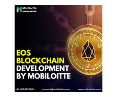  EOS Blockchain Development