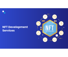 NFT Development Services Excellence in the TofuNFT Ecosystem