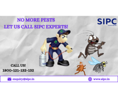Best Pest Control in Bangalore