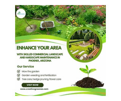Enhance Your Area with Skilled Commercial Landscape