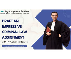 Draft an Impressive Criminal Law Assignment