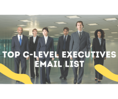 Geo Targeted C-Level Executives Email Database by Job Titles